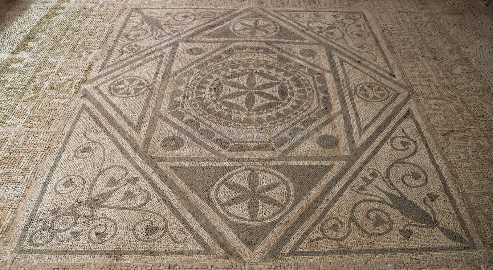 Roman floor mosaic, Risan  by radzonimo