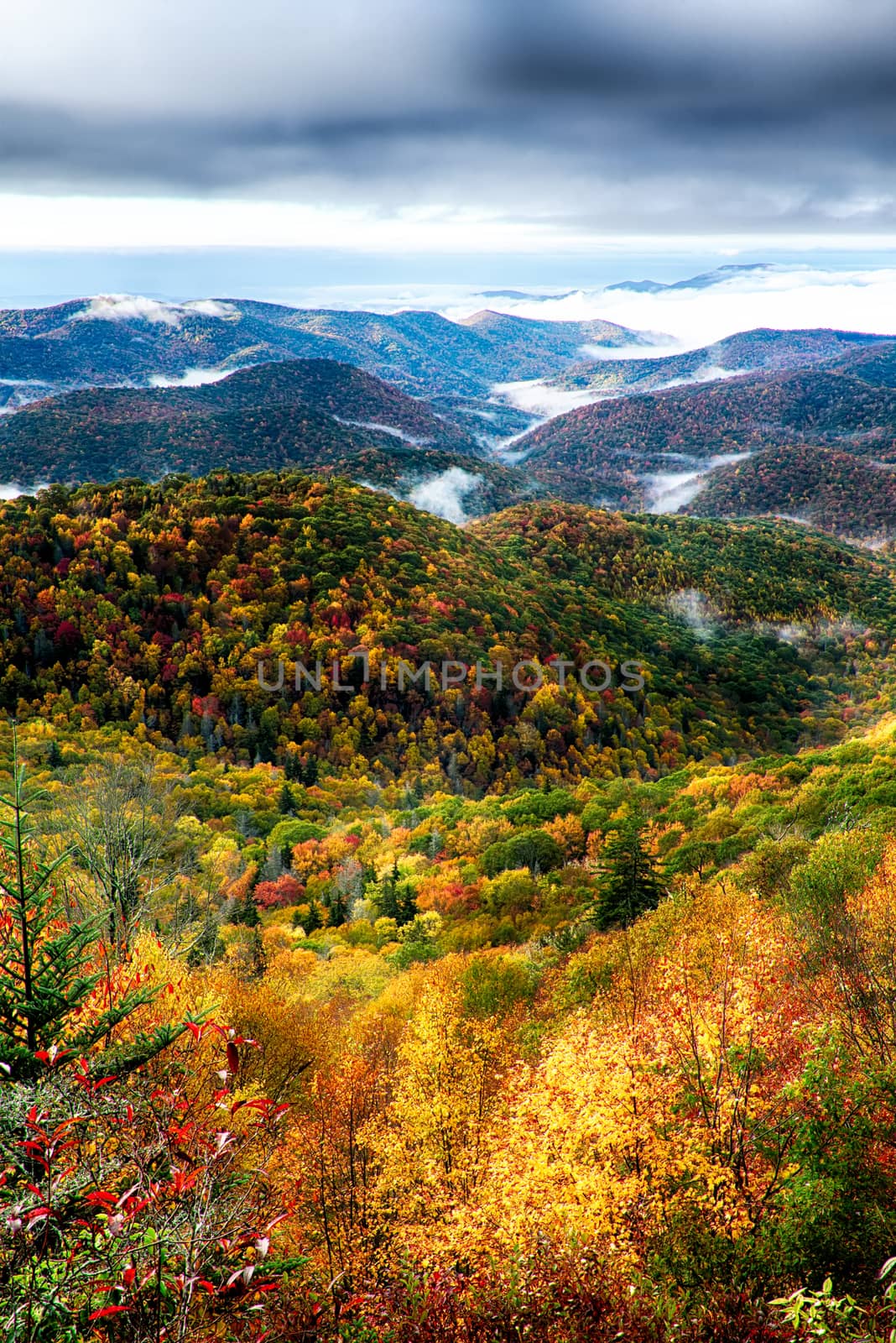 autumn foliage on blue ridge parkway near maggie valley north carolina