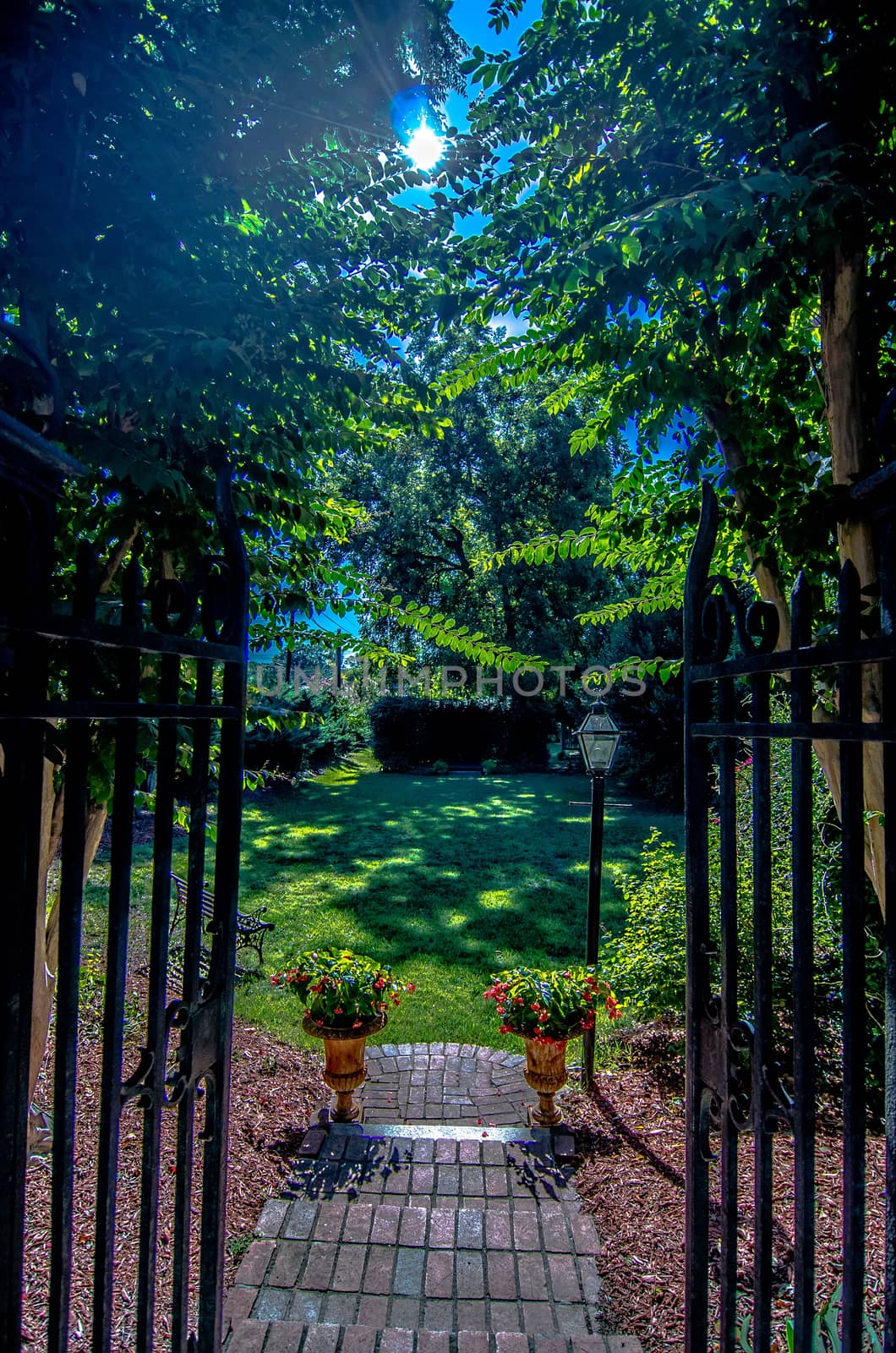 Classical design black wrought iron gate in a beautiful green garden