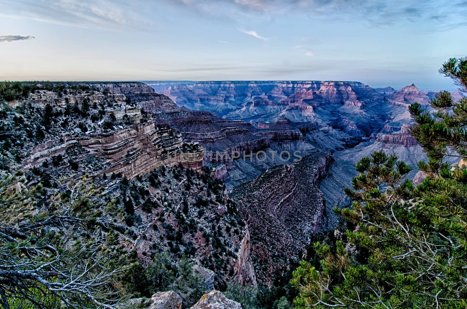 grand canyon arizona on a sunny day in psring