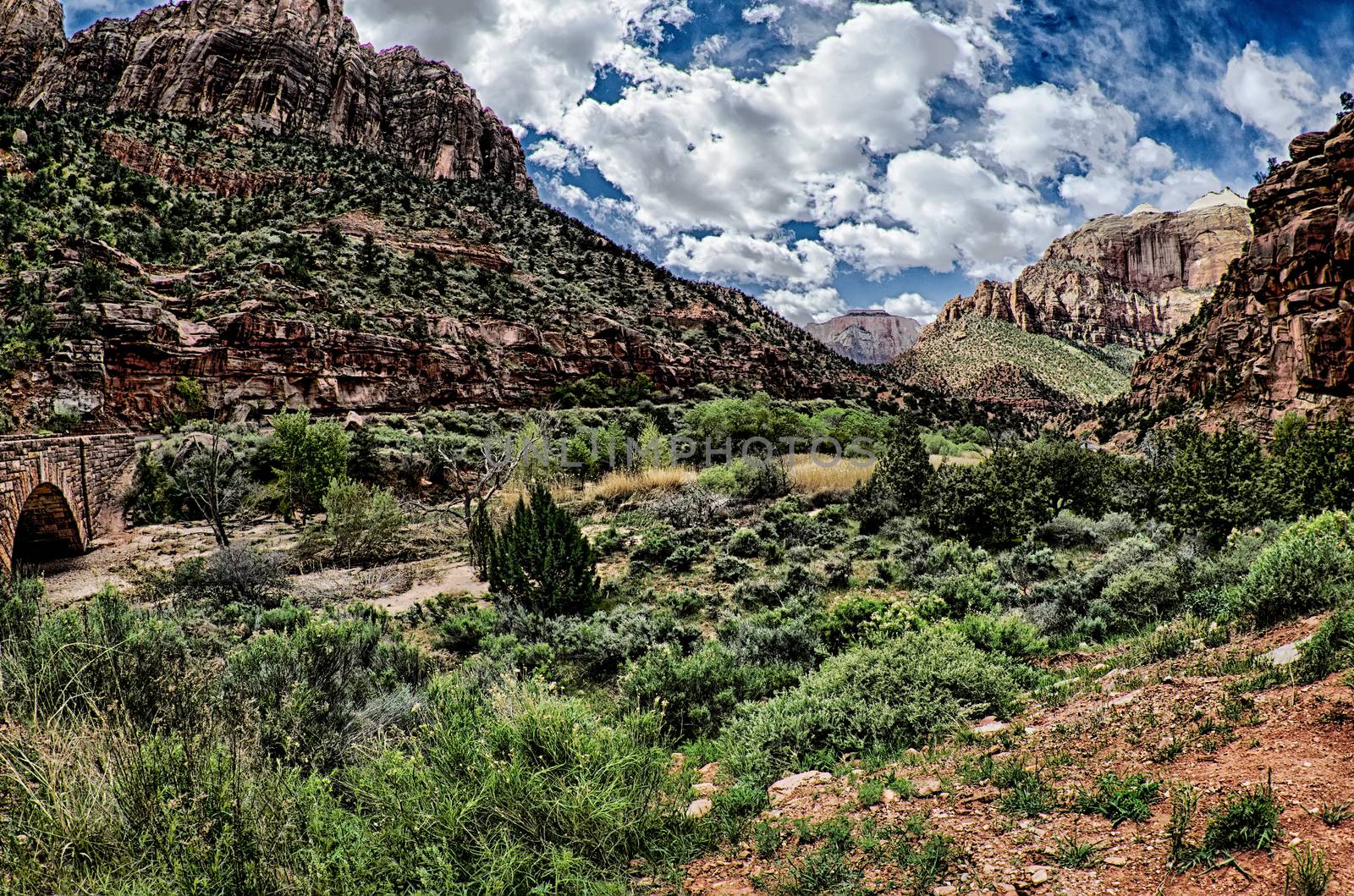 wide landscape view of a zion national park canyon valley