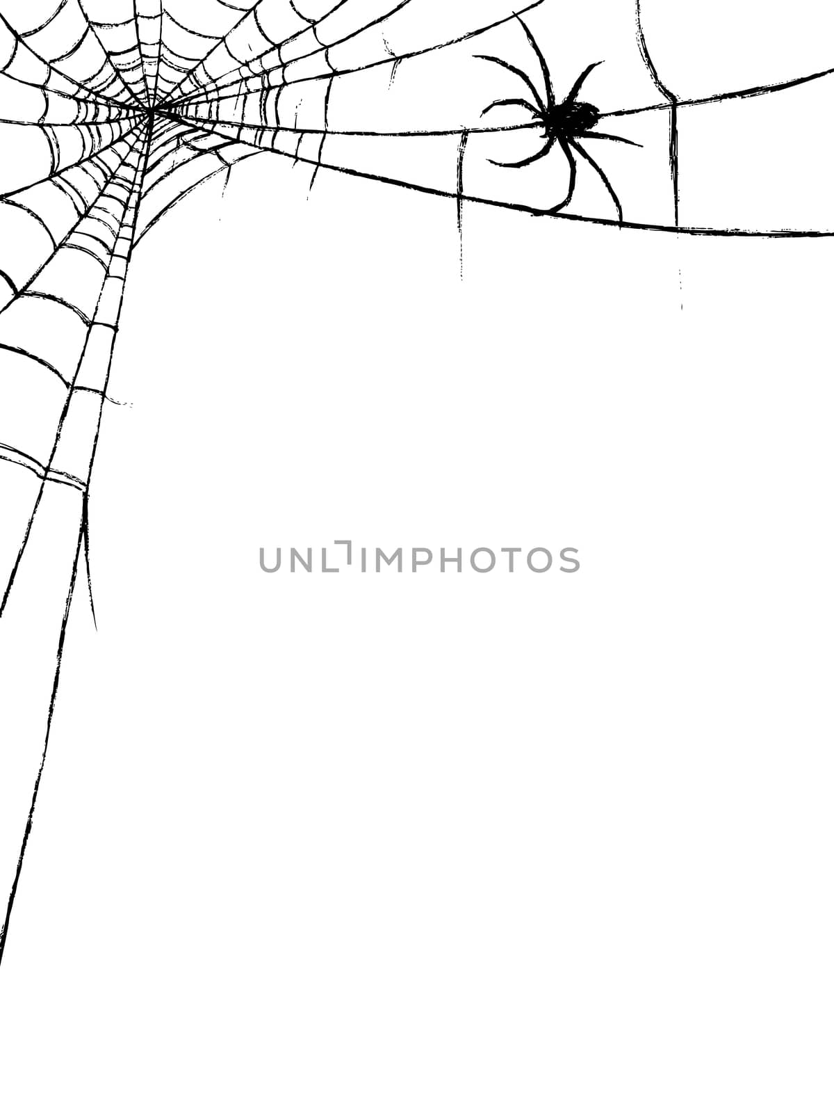 spider and spiderweb by simpleBE