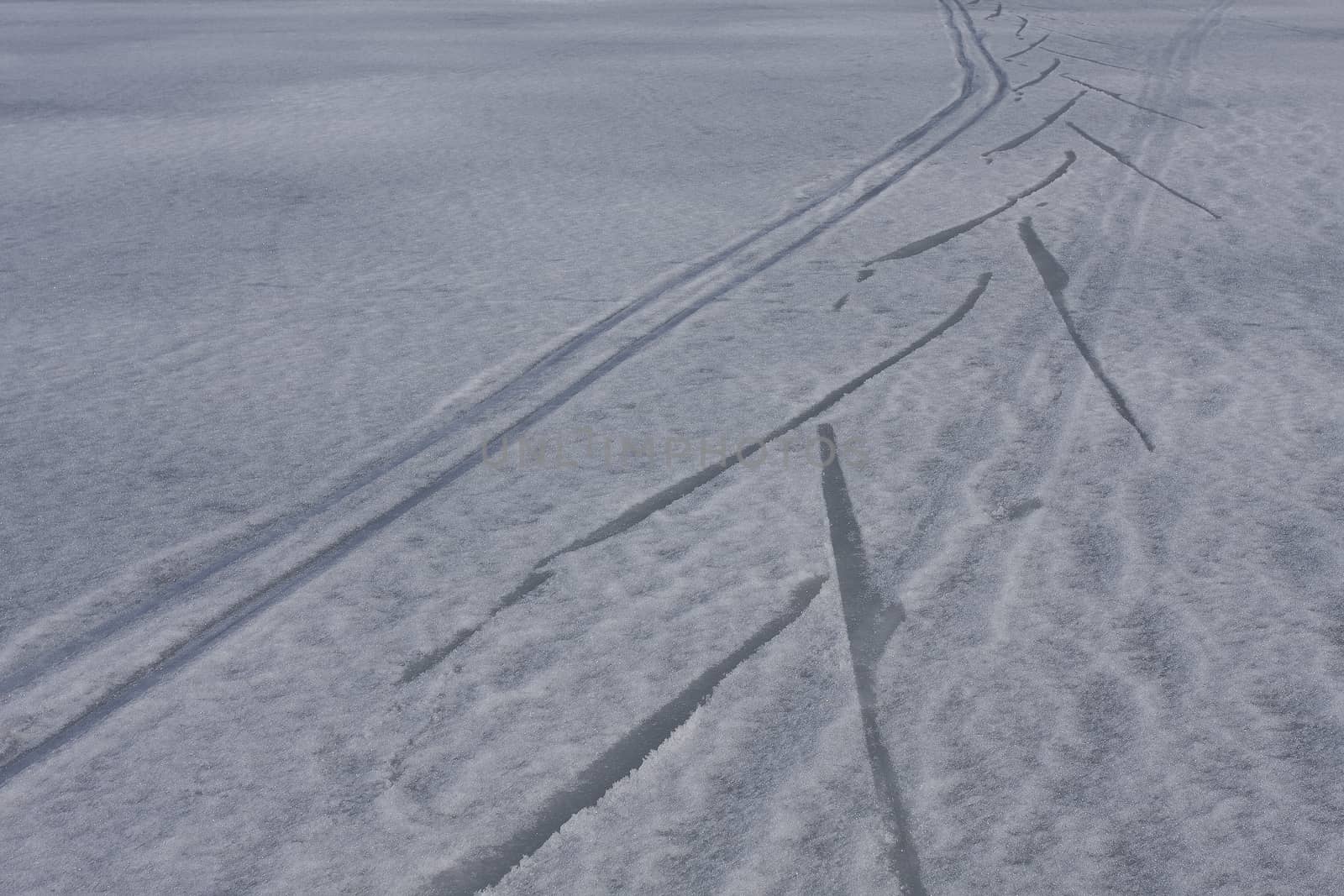 Footprints in the snow of a frozen lake, ski.