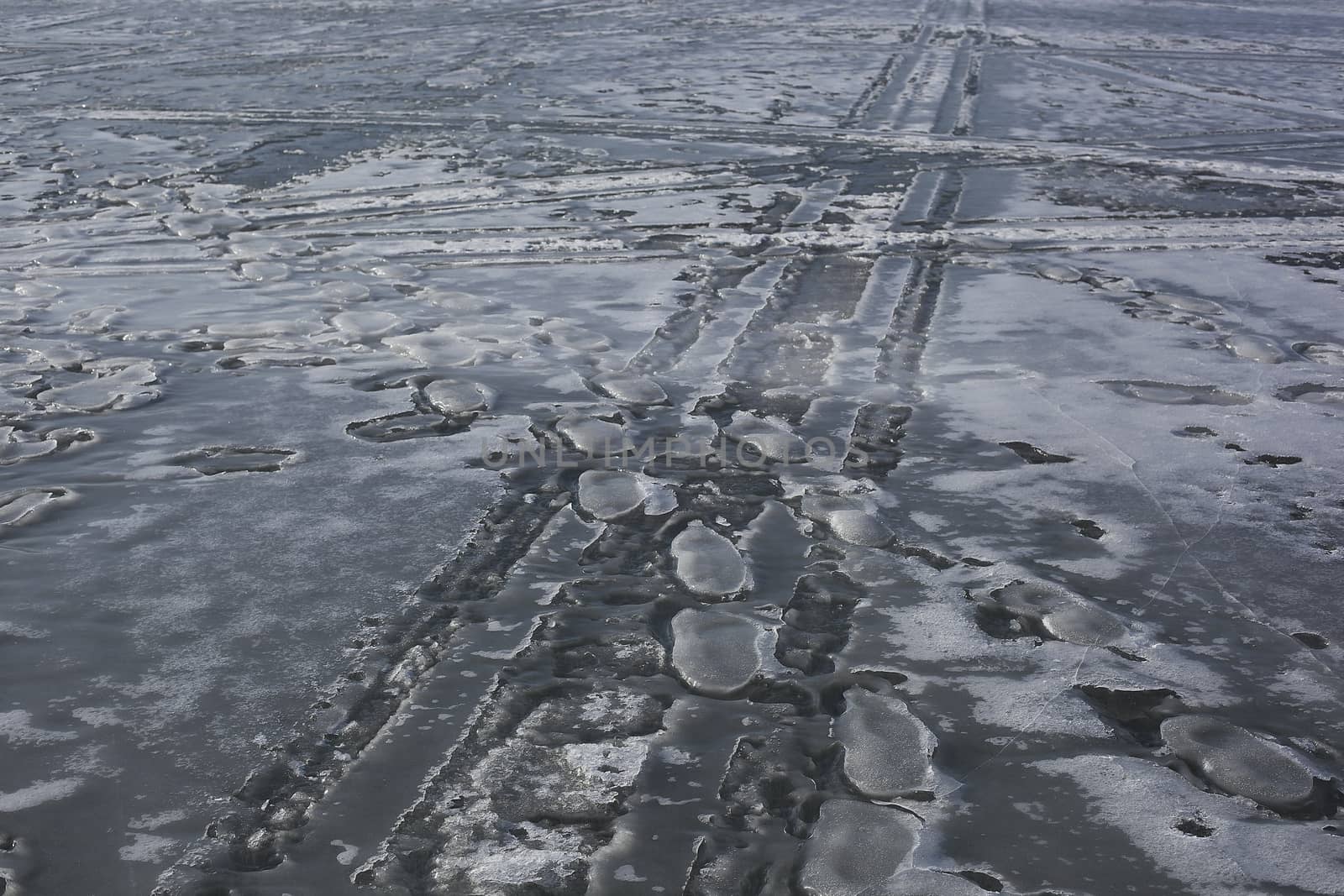 curlicue of melting ice in the early spring.