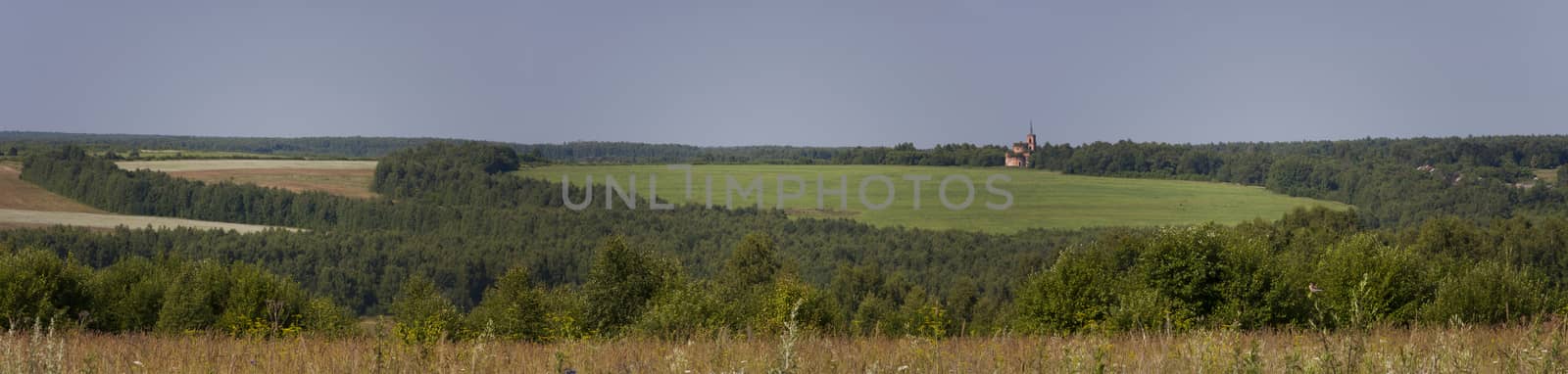 Panorama summer landscape with field and forest.