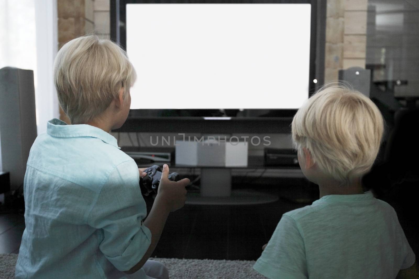 Two brothers playing video games at home