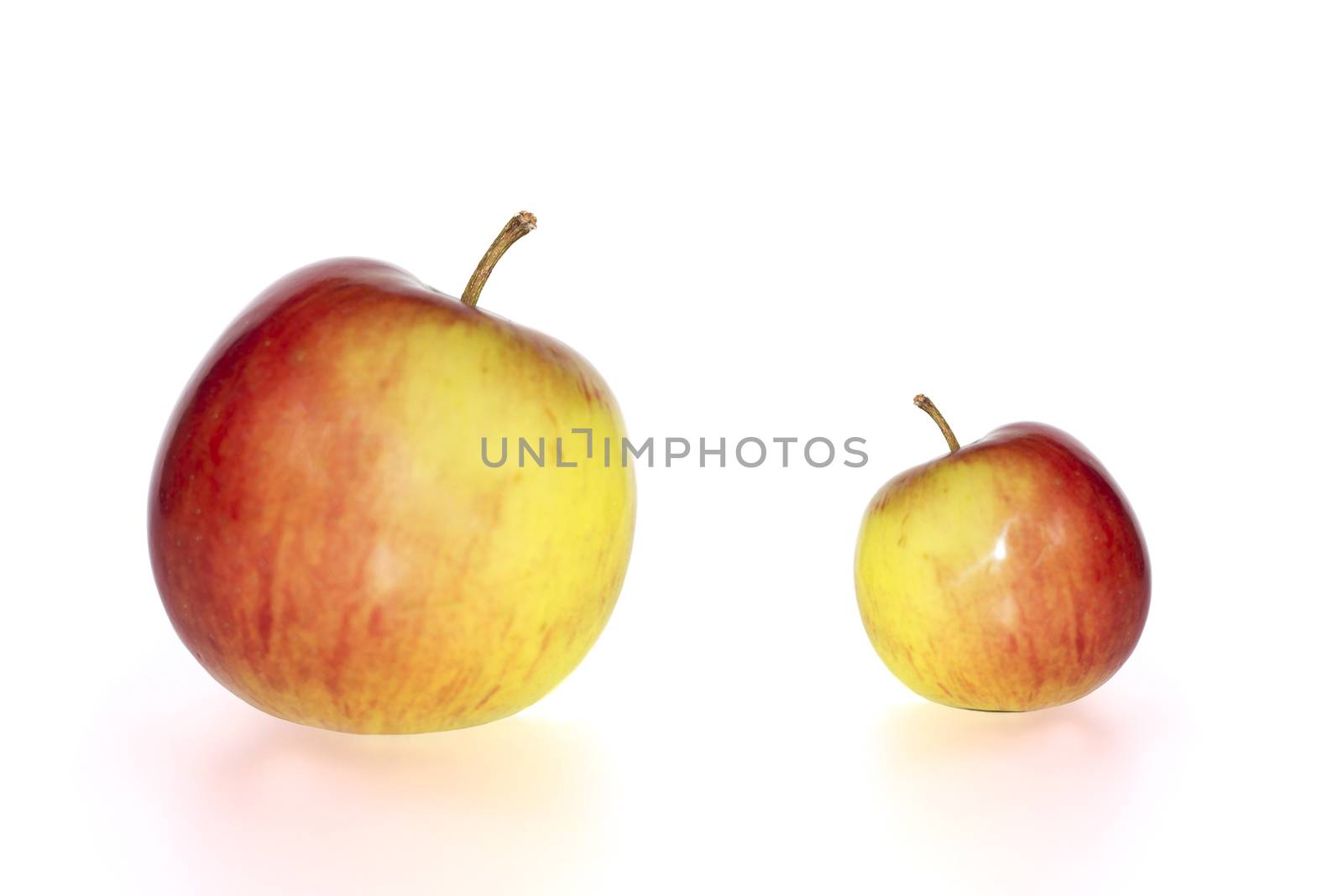 big and small juicy red and yellow apples against a white background with clipping path