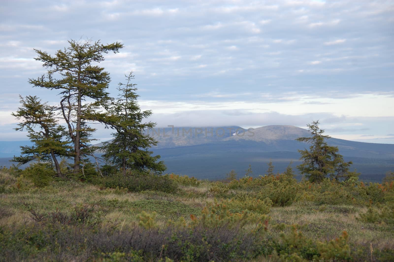Kolyma region mountain range by danemo