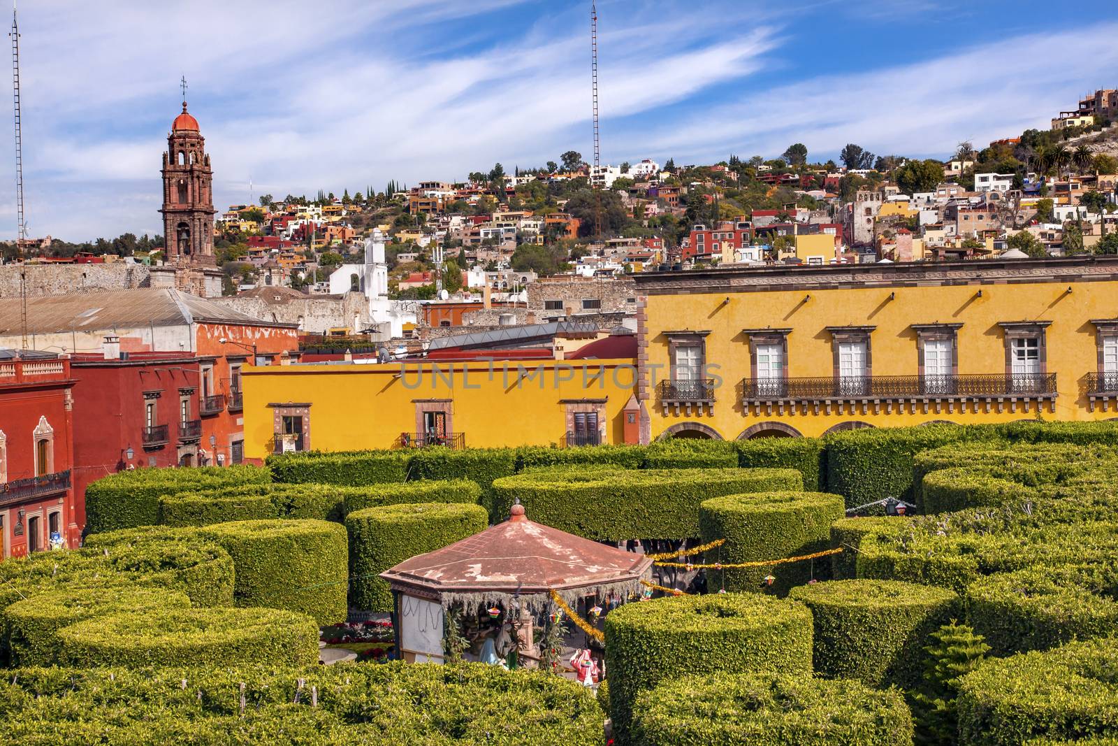 Jardin Town Tree Square San Miguel de Allende Mexico. 