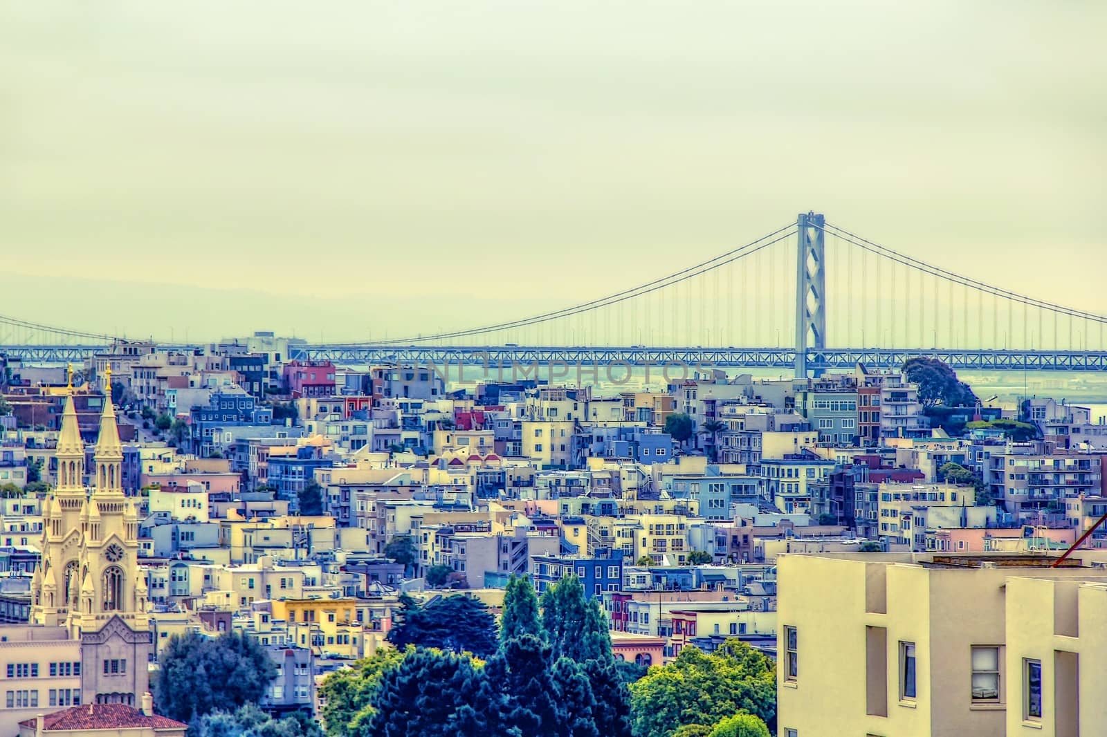 view of the San Francisco,California,USA