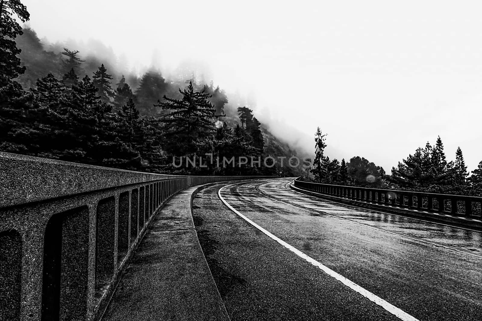 bridge with foggy view in winter