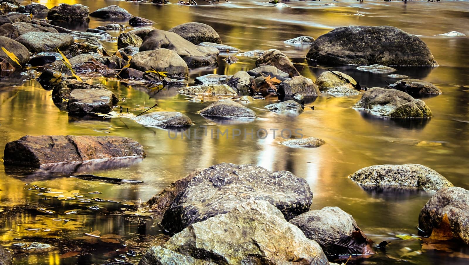 wood and rock in the river