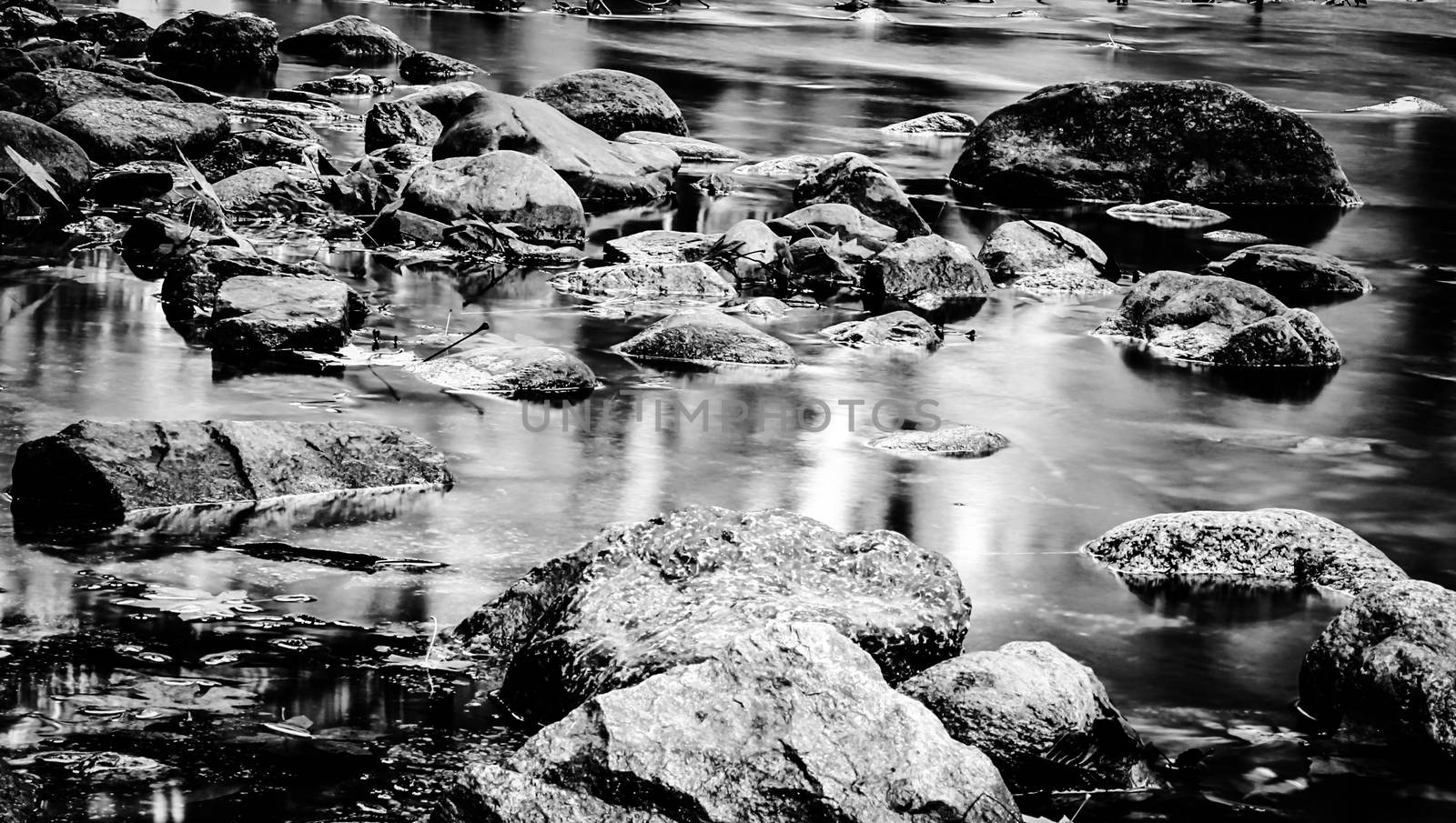 wood and rock in the river in black and white by Timmi