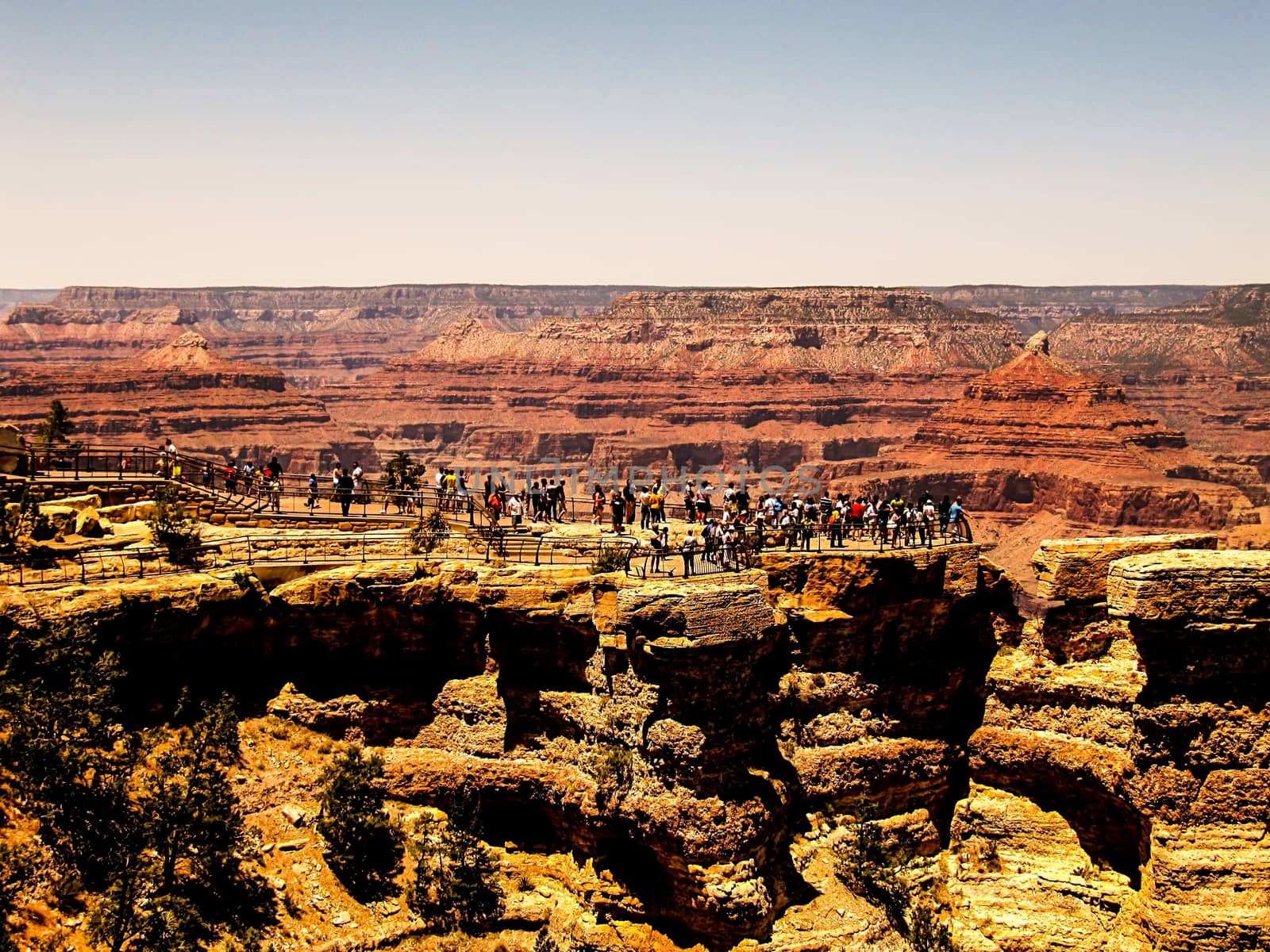 At Grand Canyon national park,USA by Timmi