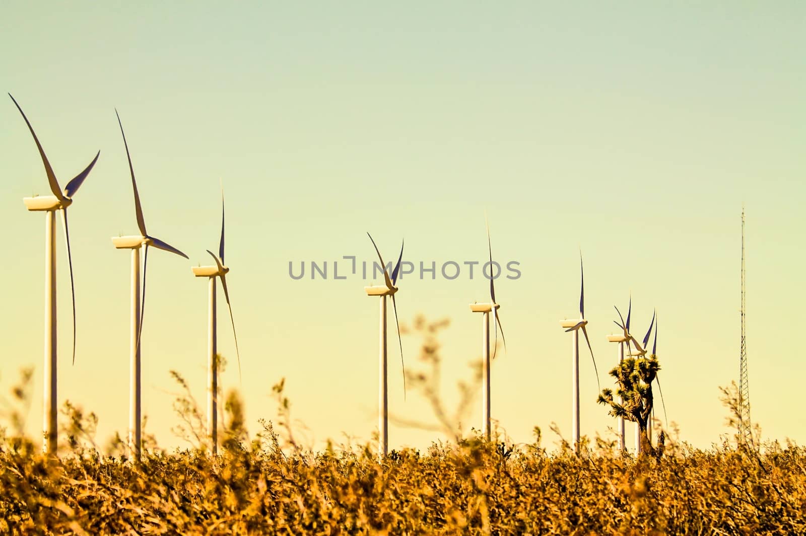 wind turbine in the middle of the desert by Timmi