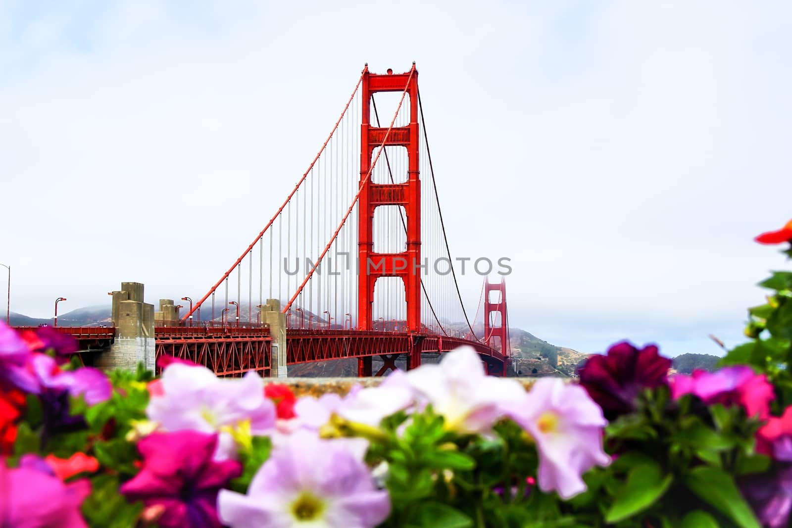 foggy day at golden gate bridge San Francisco california USA