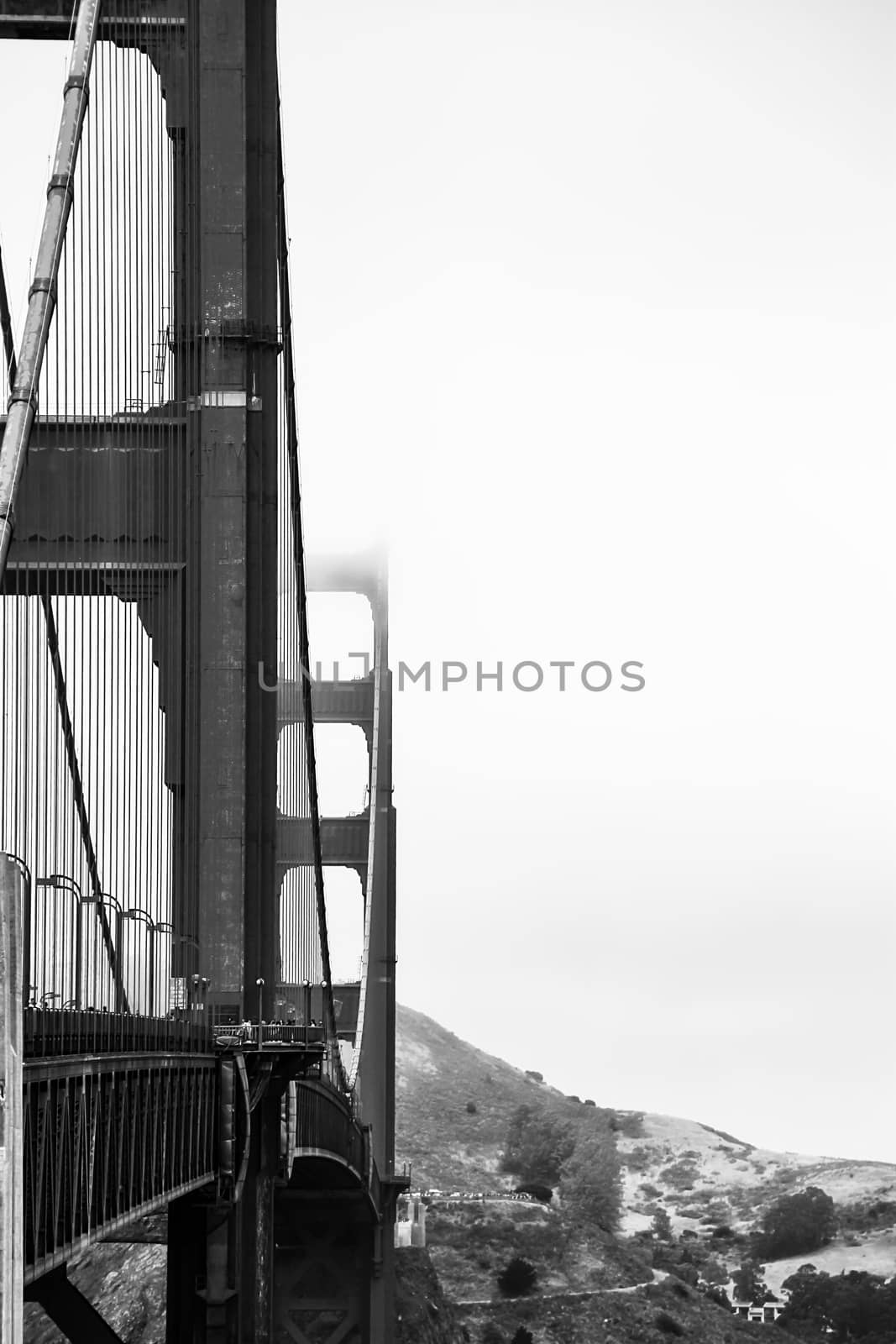 foggy day at Golden Gate bridge by Timmi