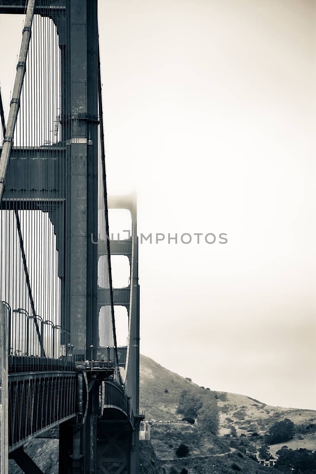 Golden Gate bridge in black and white by Timmi