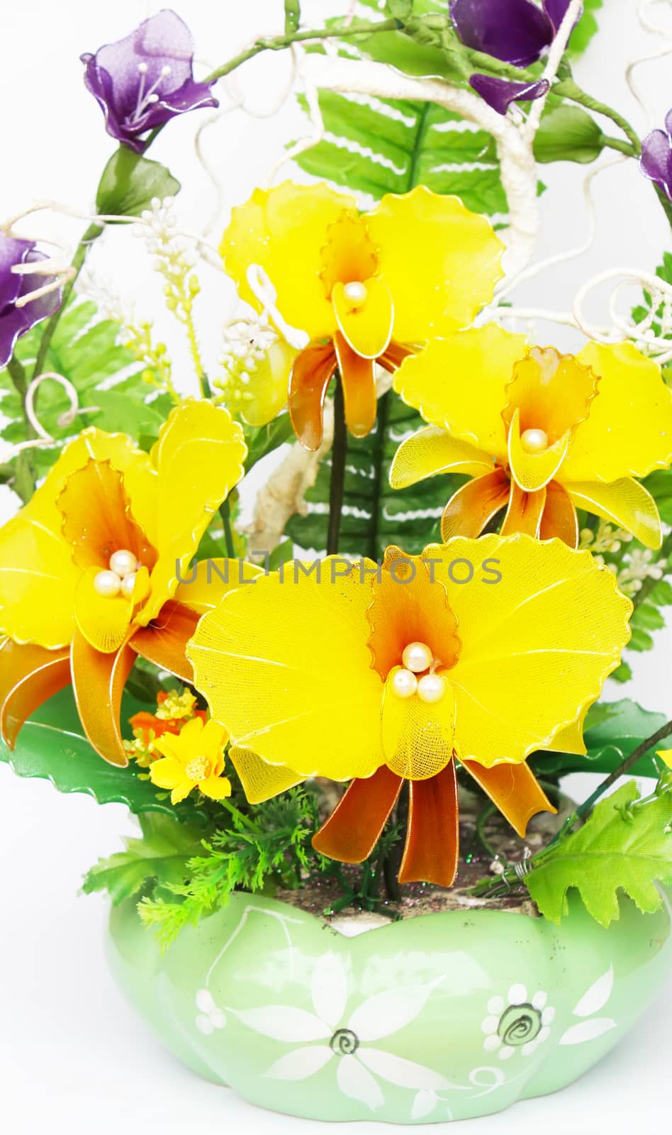 Beautiful flowers in vases isolated on white  by dinhngochung