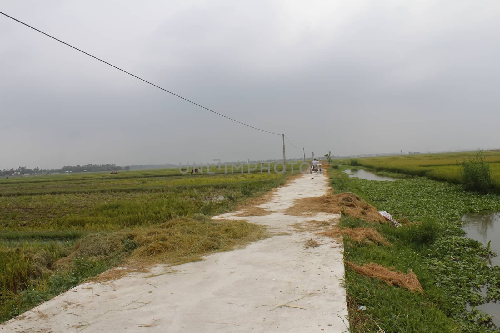 Asian man riding a bicycle on the road by dinhngochung