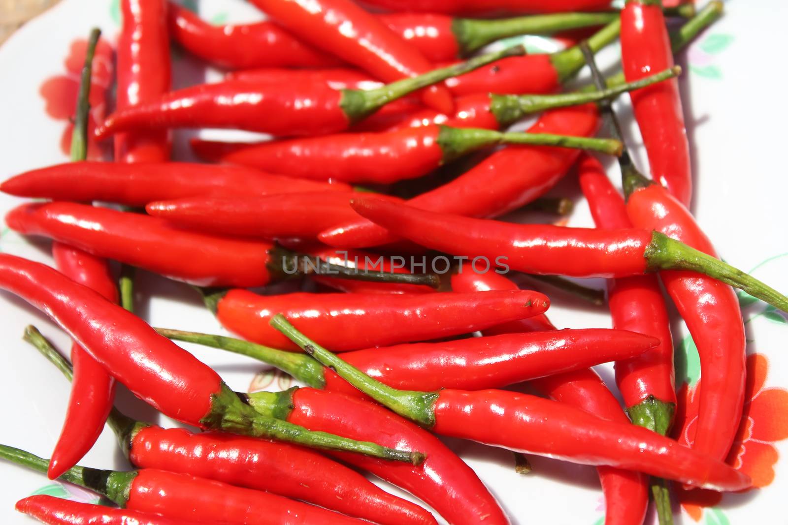 the chillis in the plate
