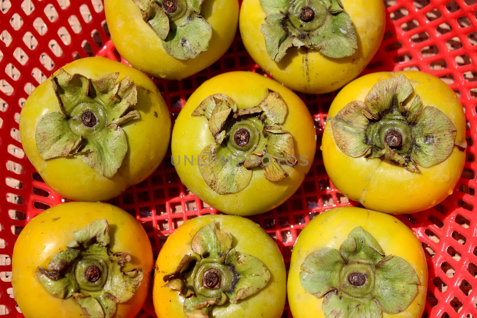 The persimmons in the basket