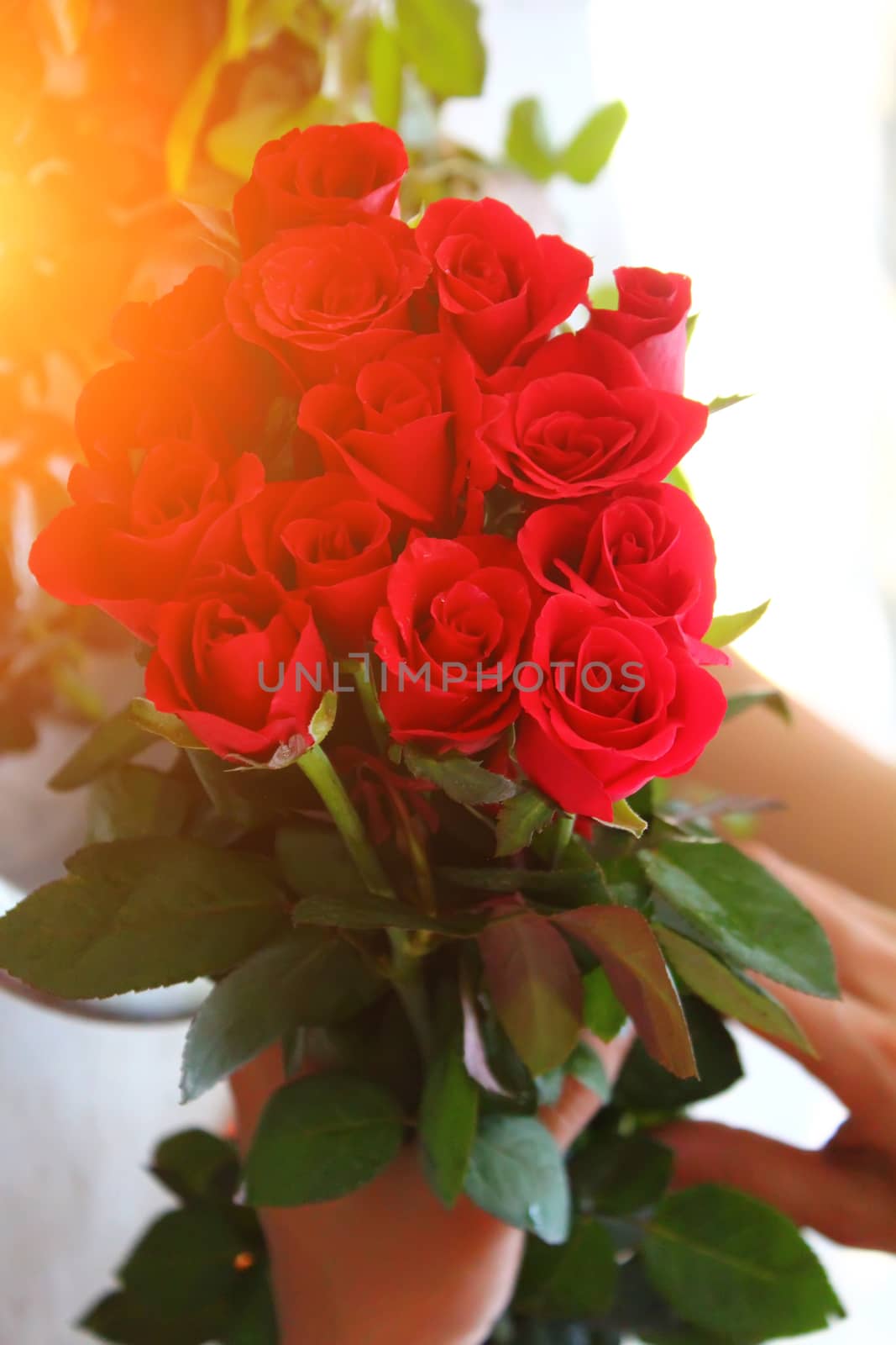 The beautiful bouquet of roses