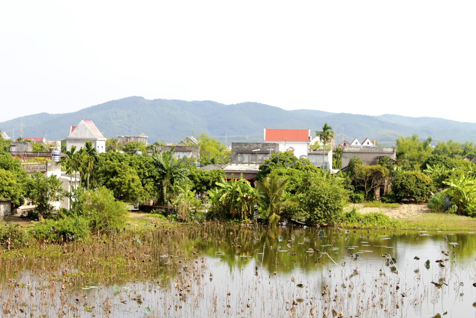 rural village