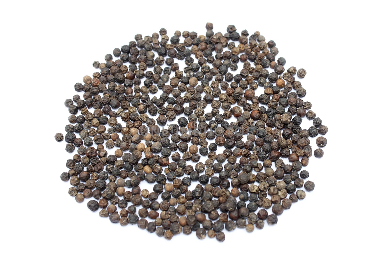 pepper on white background