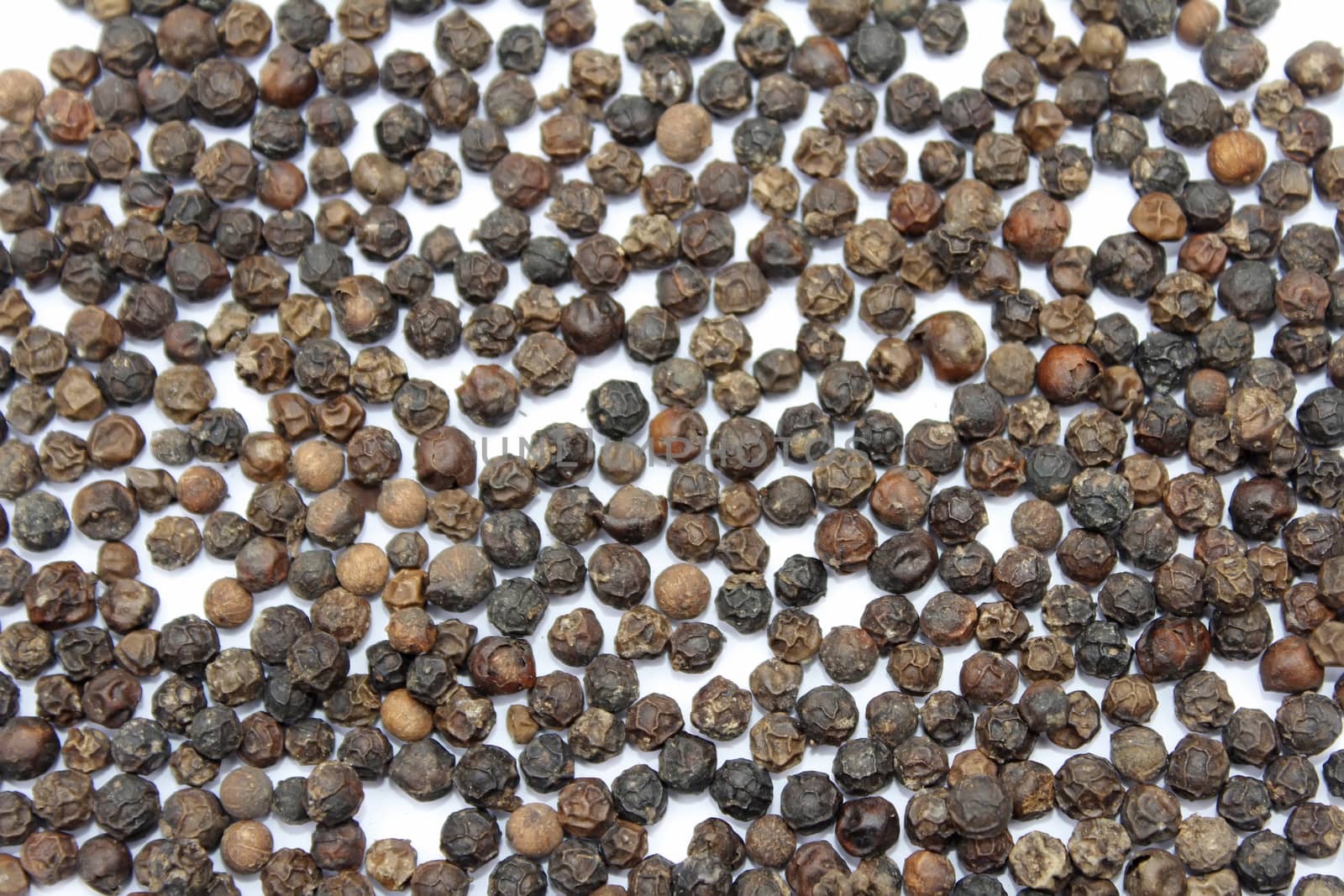 pepper on white background
