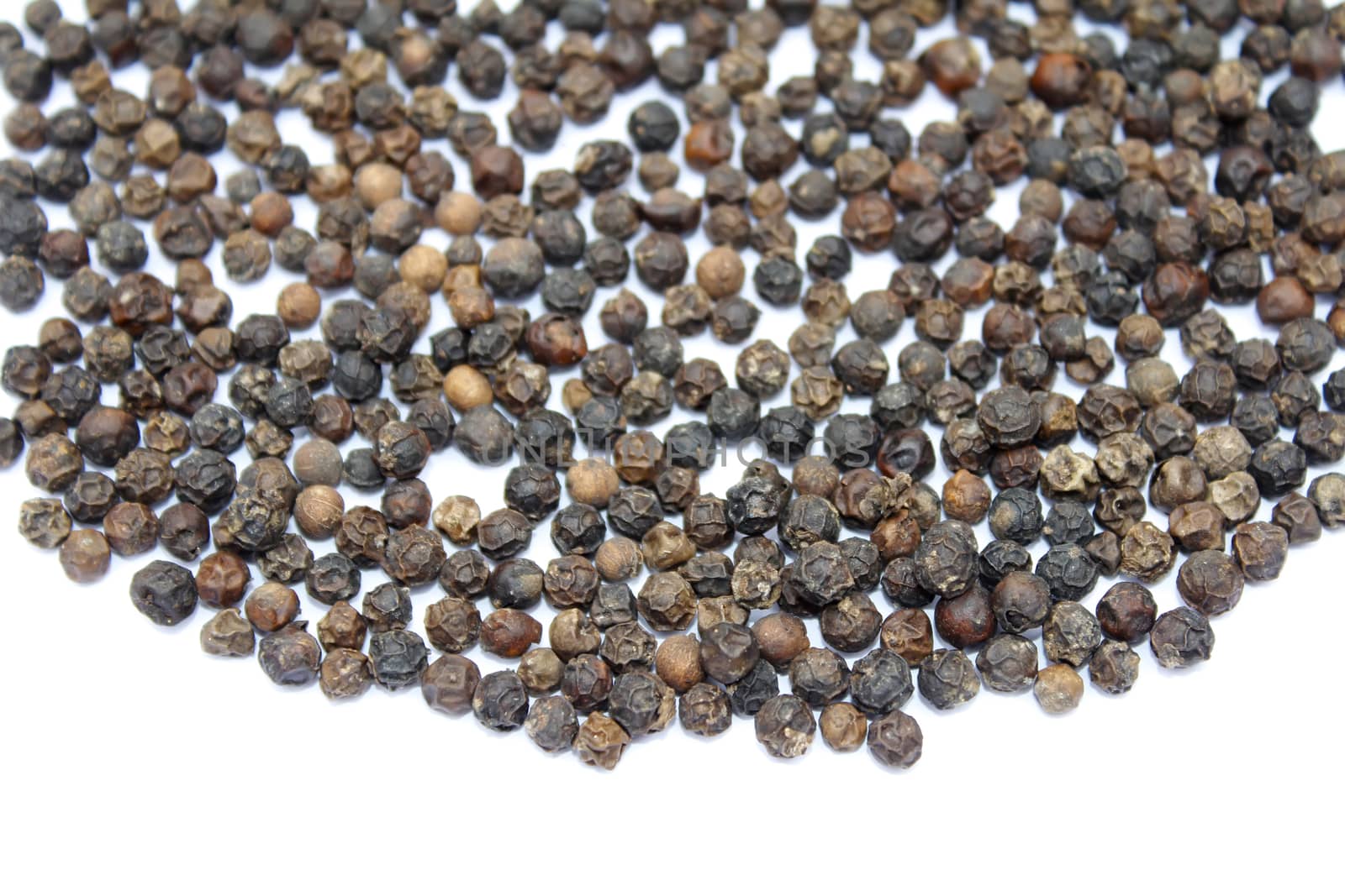 pepper on white background