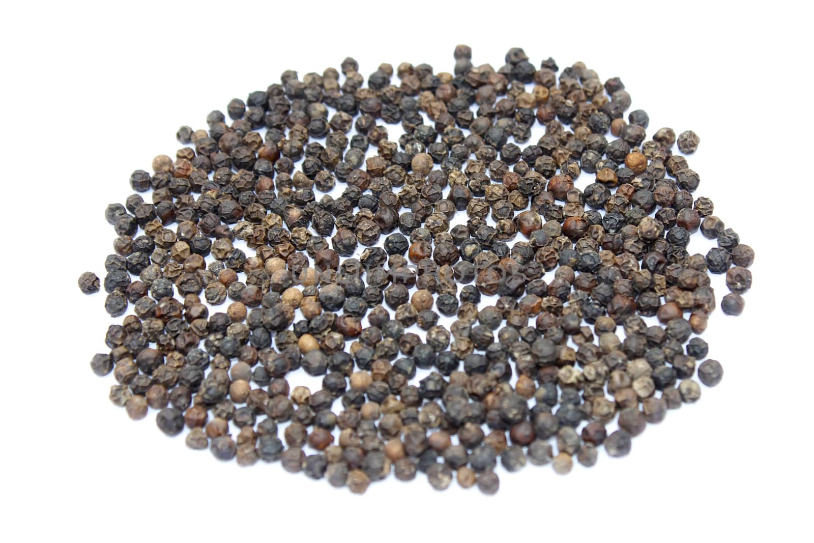 
pepper on white background