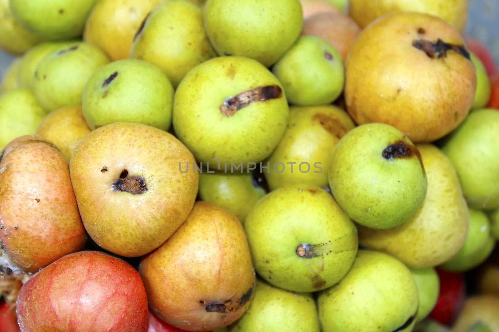bunch ripe figs