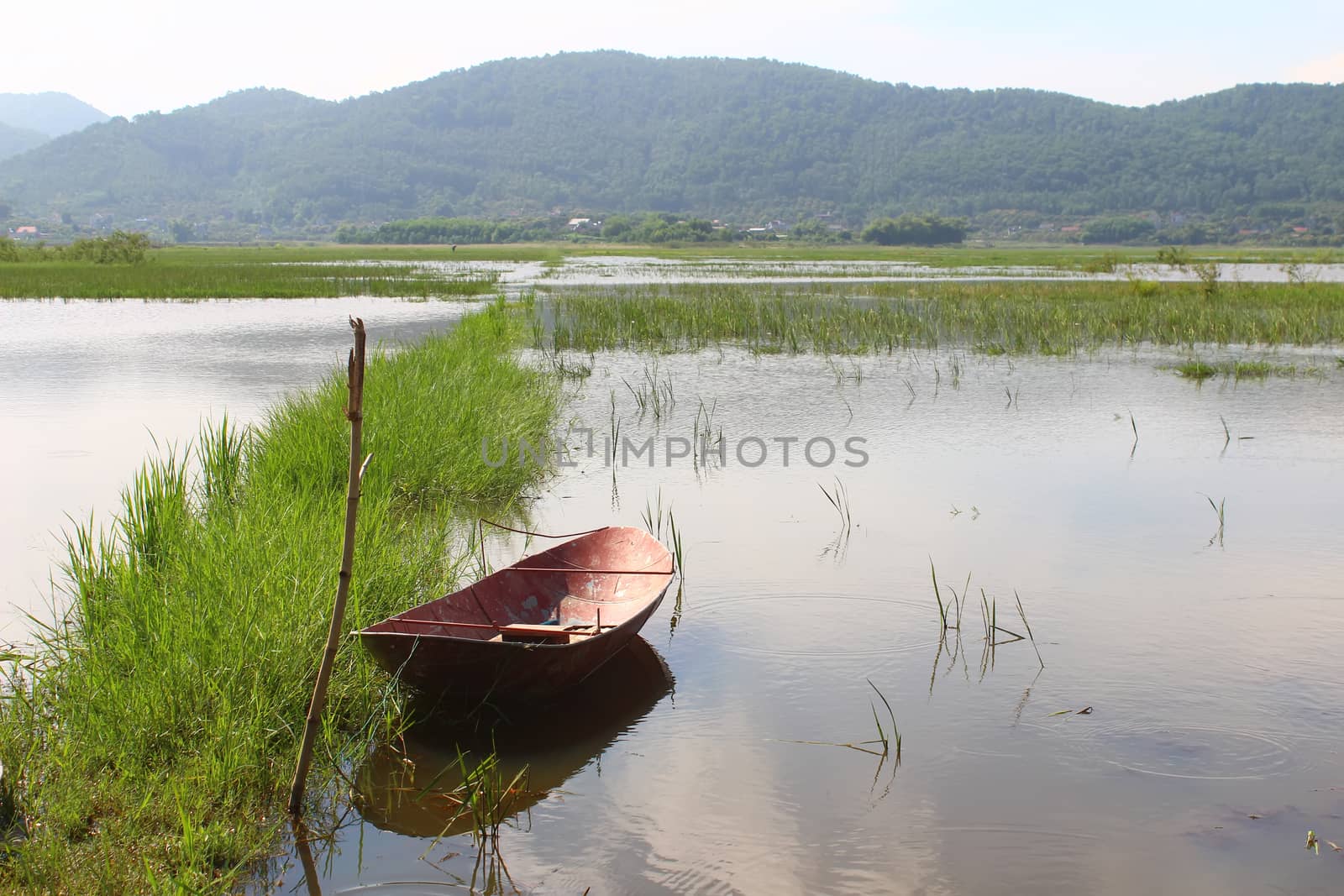 The boat on the river