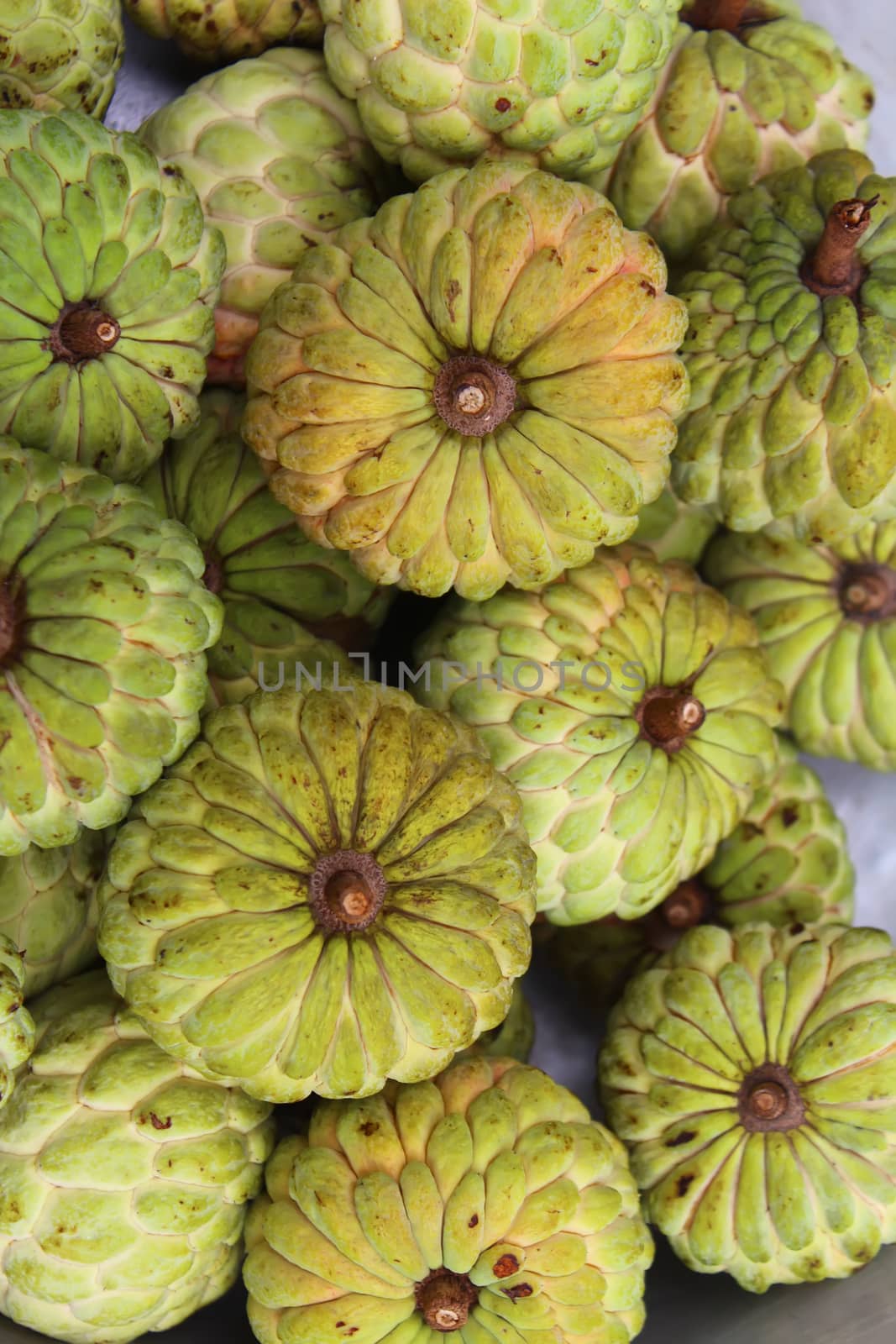 Custard apple fruit by dinhngochung