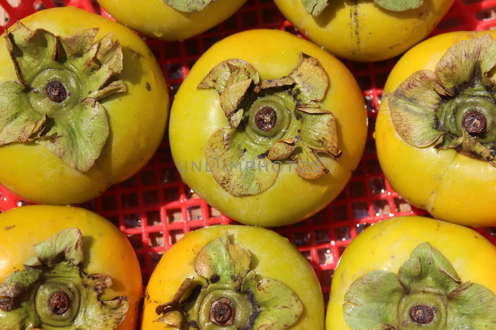 The persimmons in the basket