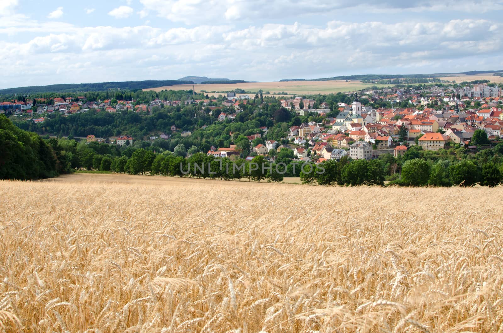 Horizontal landscape shot consisting of wheat field, town and forest.