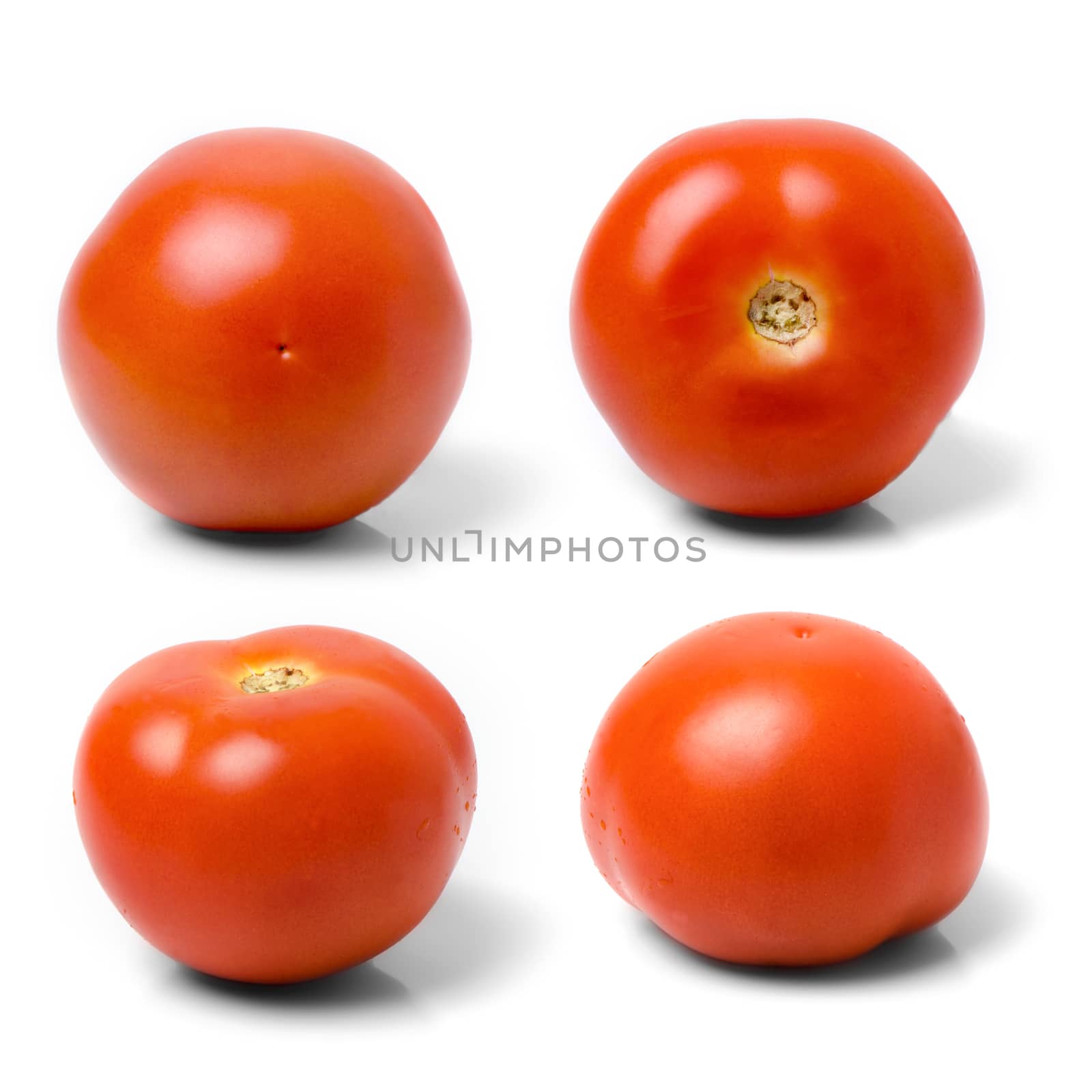 Four tomatoes againts white. by richpav