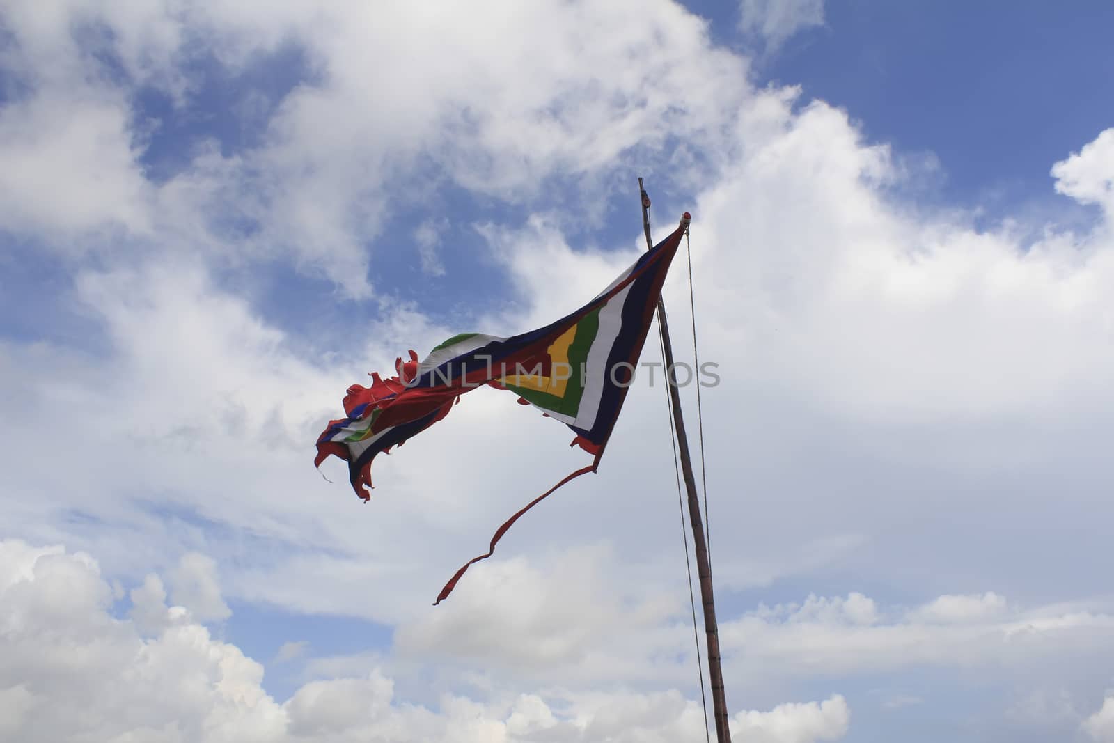 flag festival by dinhngochung