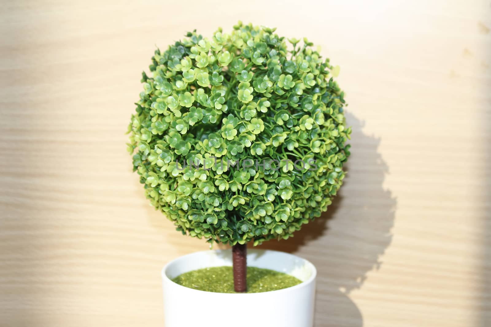 Plastic tree on table