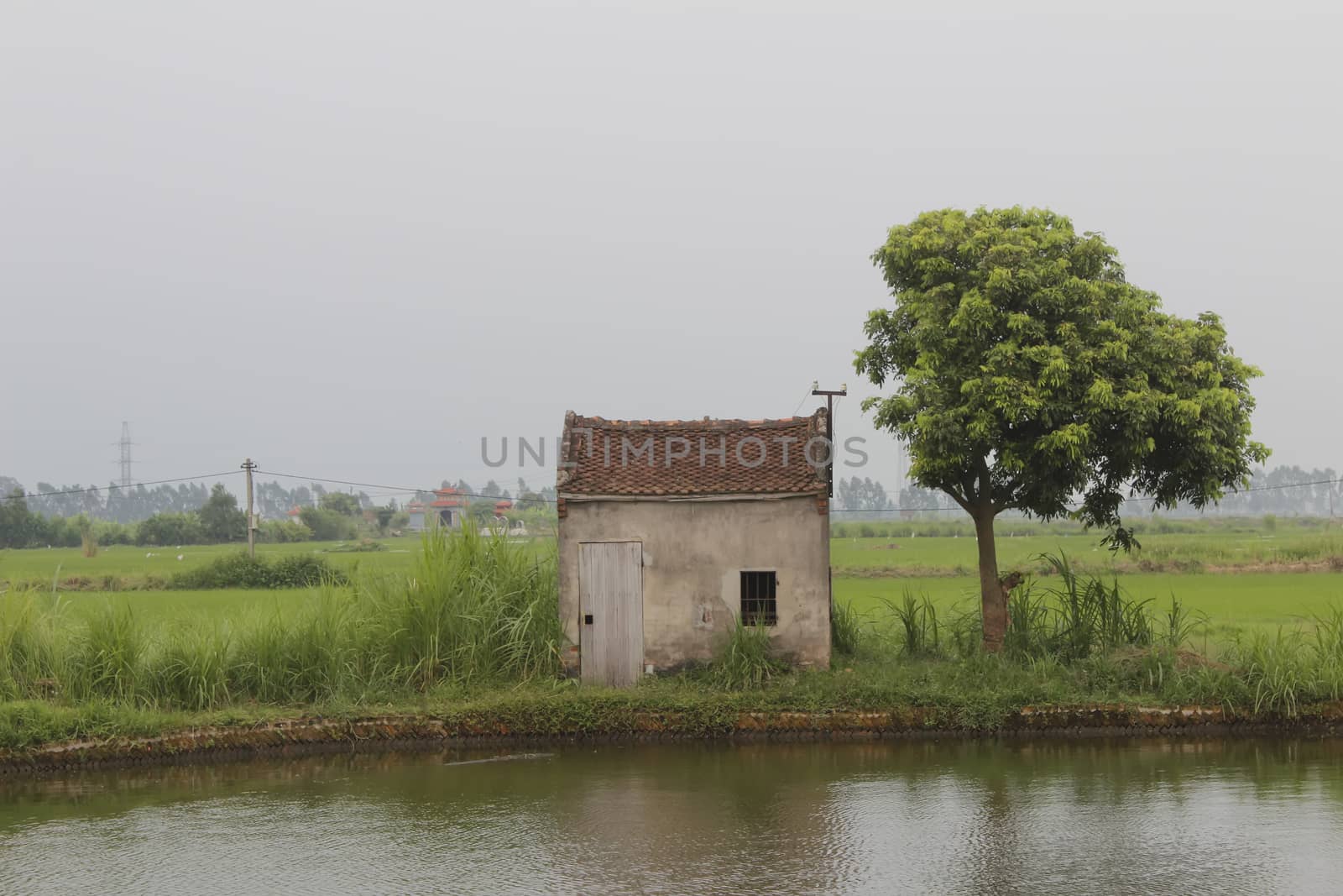 
small house in lake