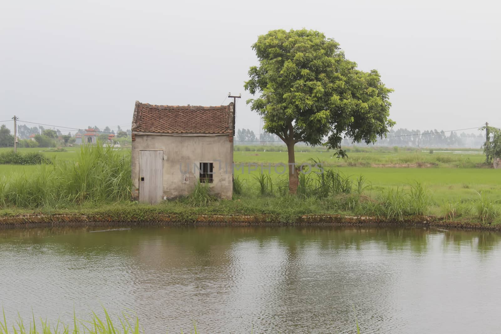 
small house in lake