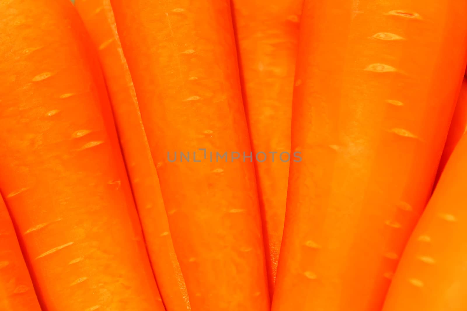 carrot in basket