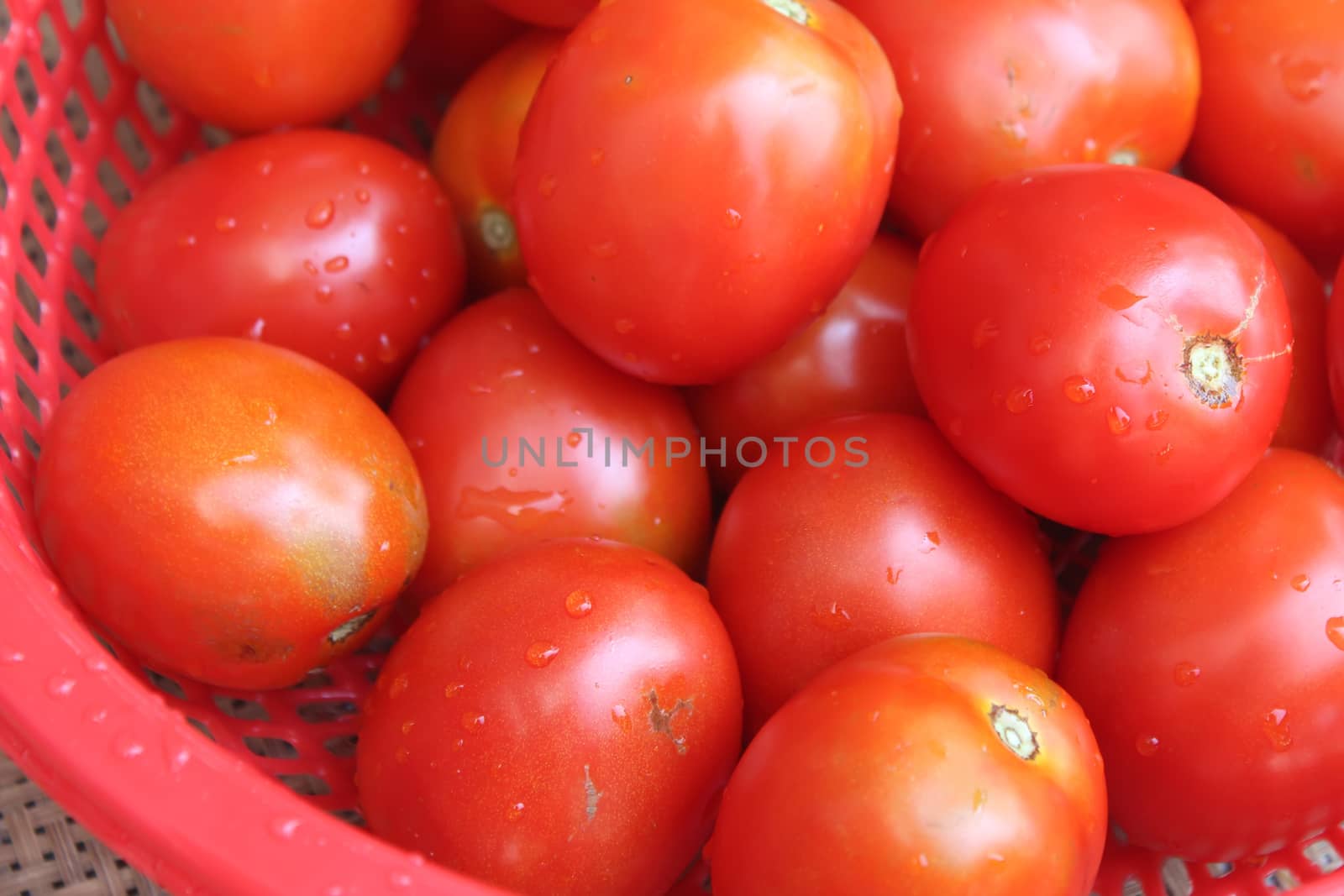 ripe tomatoes in basket by dinhngochung