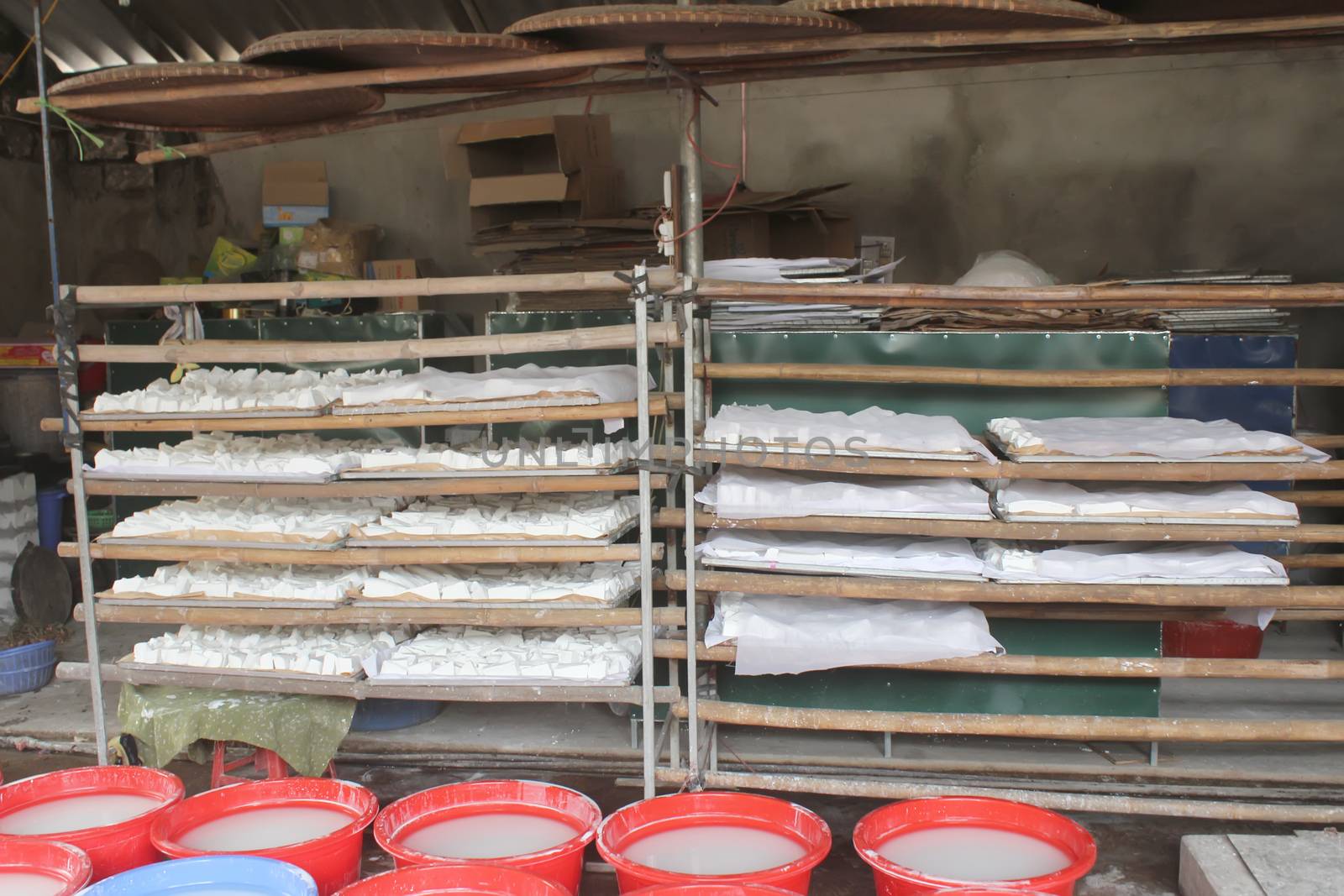 processing Kudzu flour  by dinhngochung