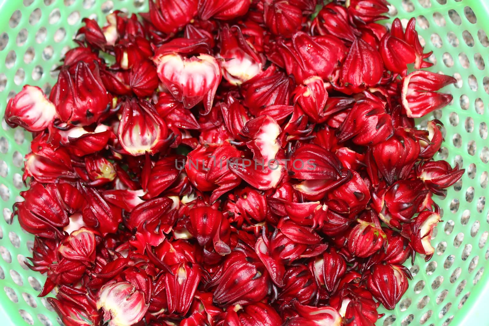 Artichoke buds, a variety of a species of thistle cultivated as a food