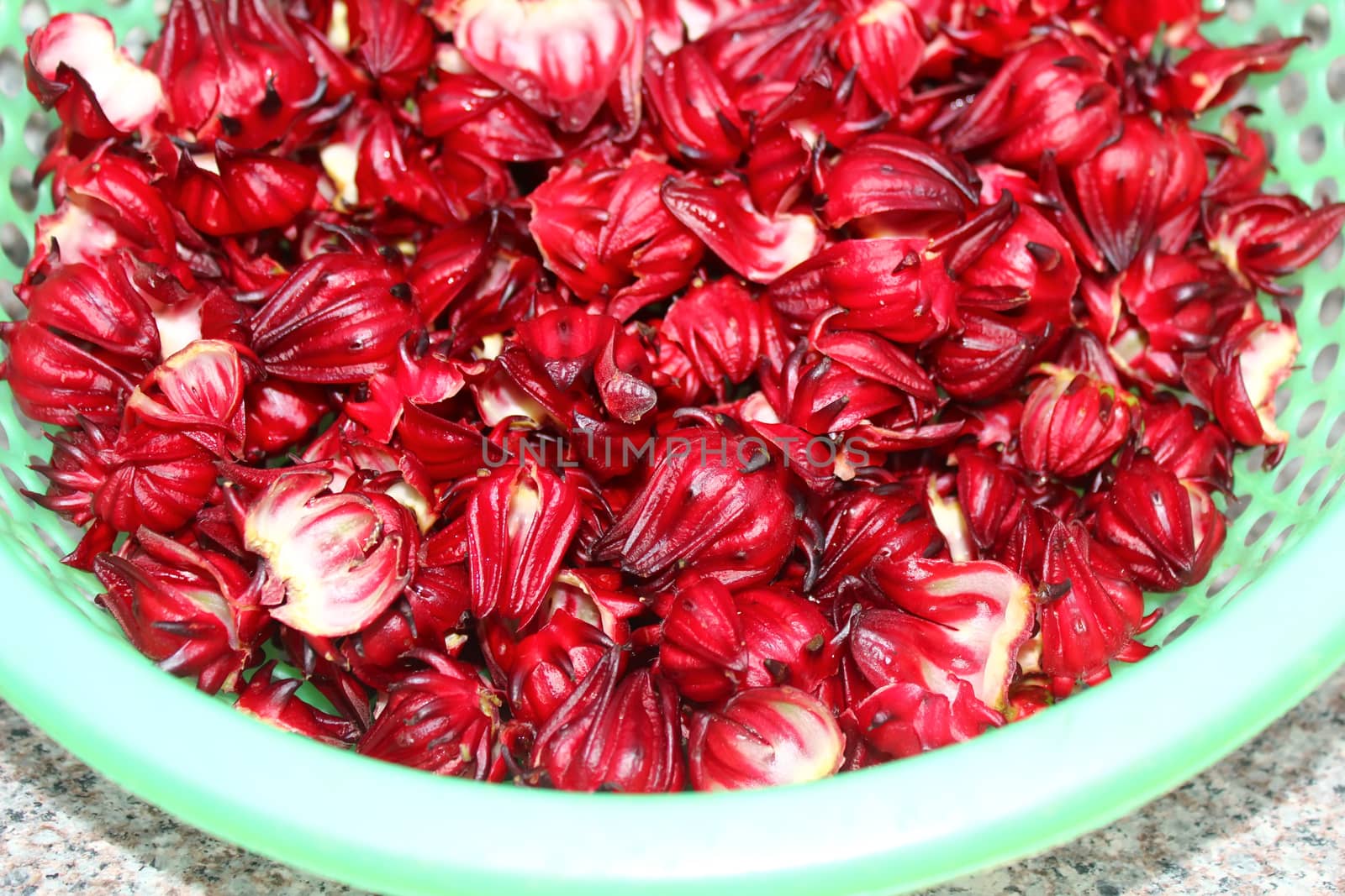 Artichoke buds, a variety of a species of thistle cultivated as  by dinhngochung