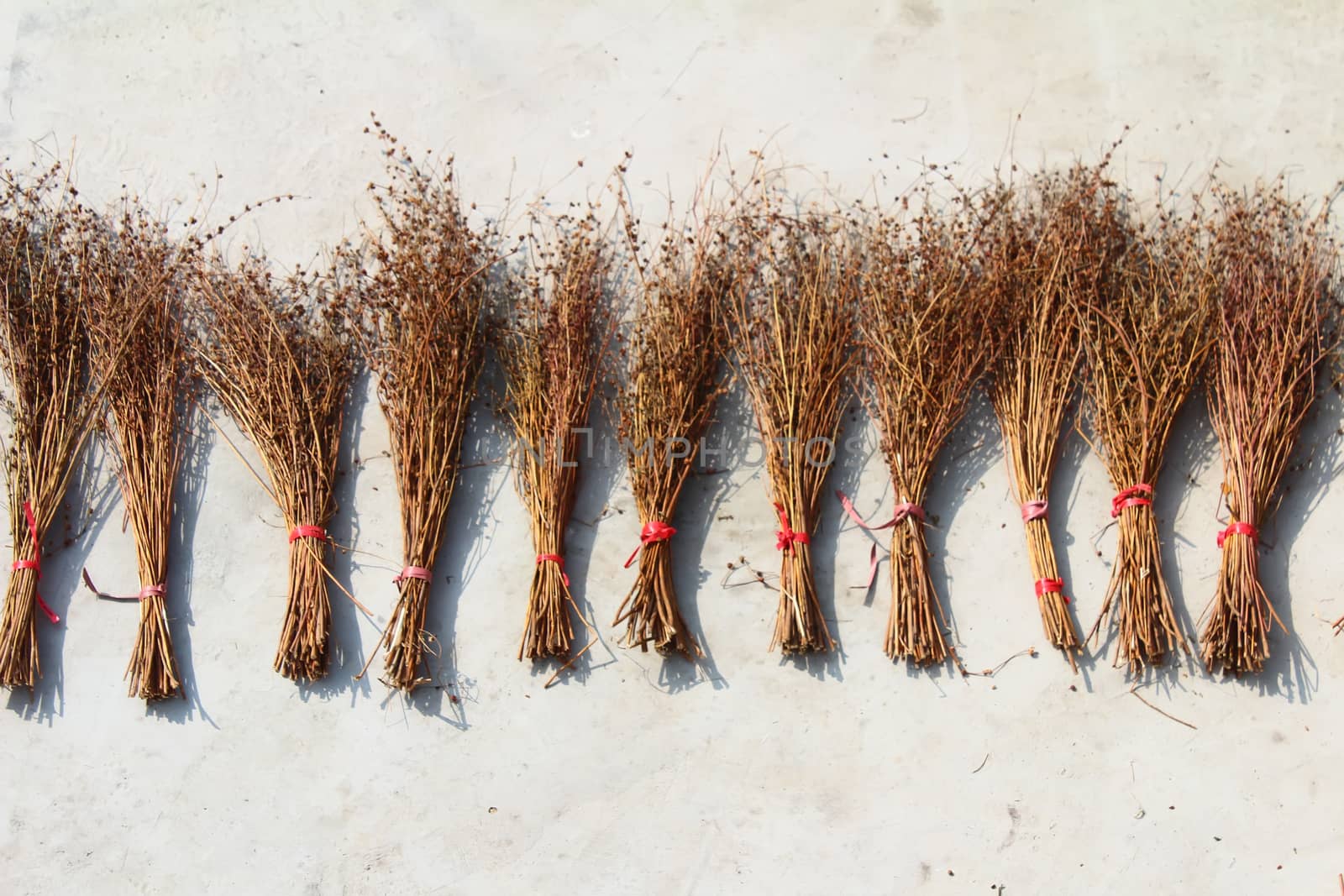 drying broom by dinhngochung