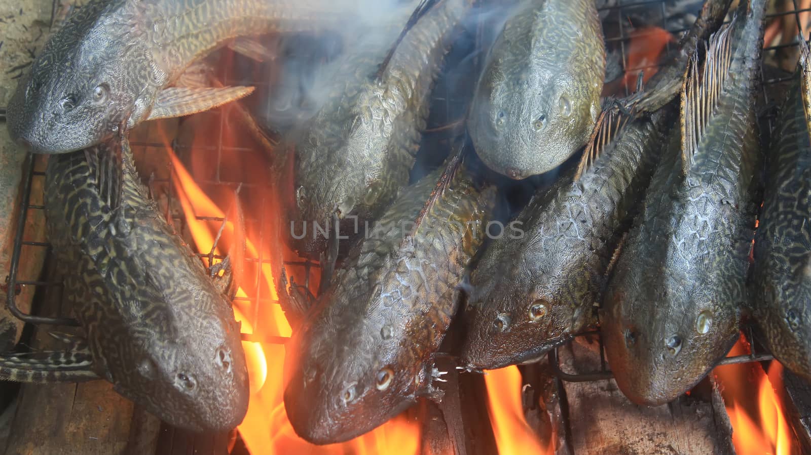 Grilling fish on barbecue by dinhngochung