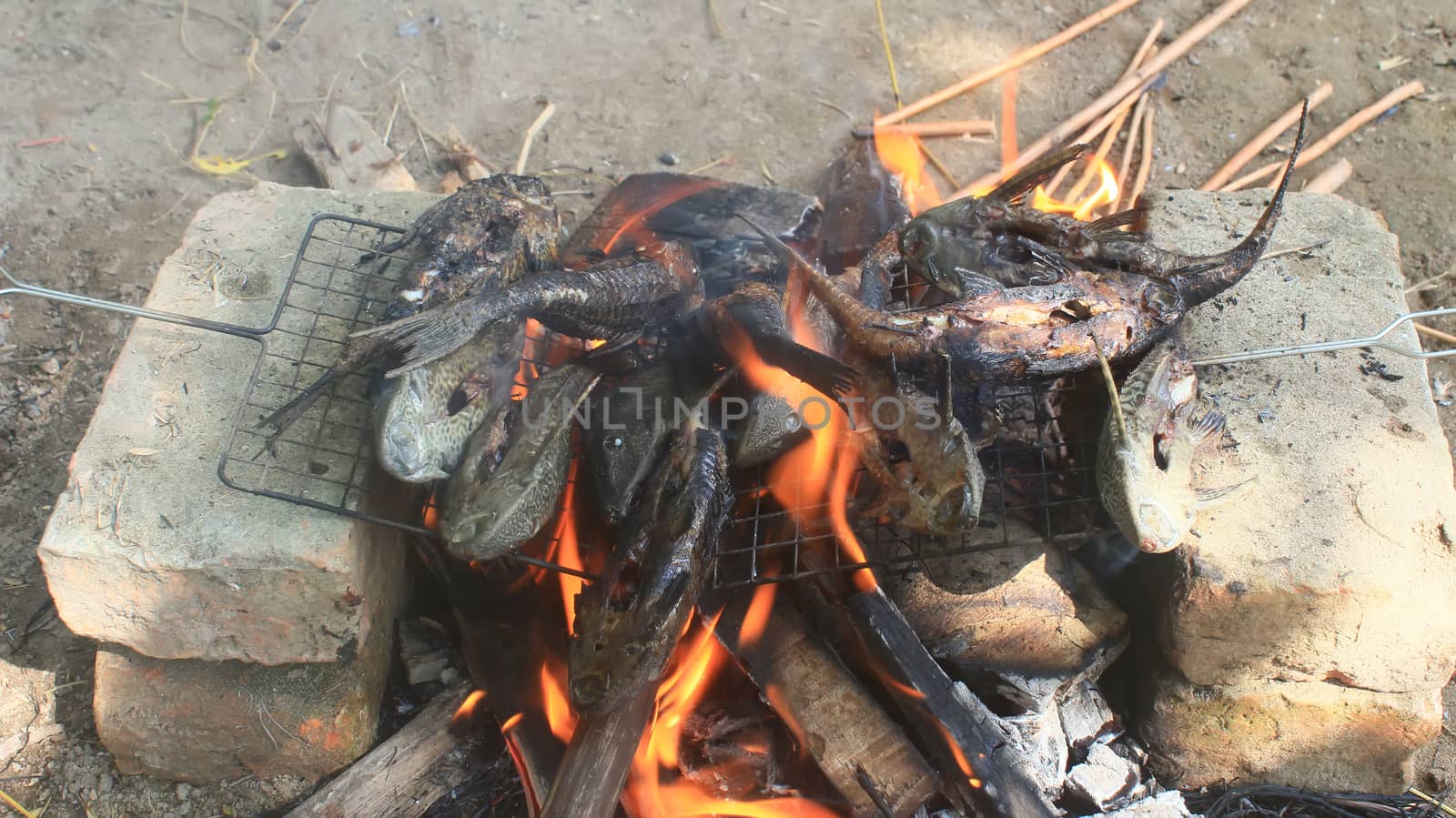 Grilling fish on barbecue by dinhngochung